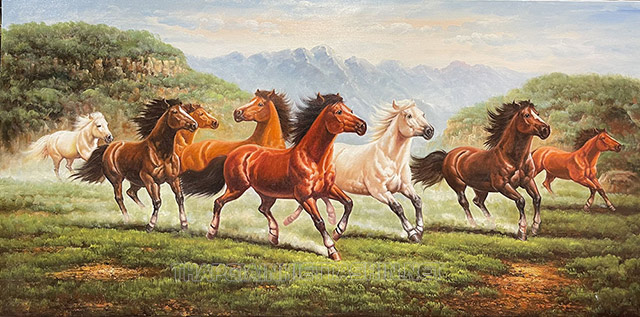 Ngựa phi trên đồng cỏ